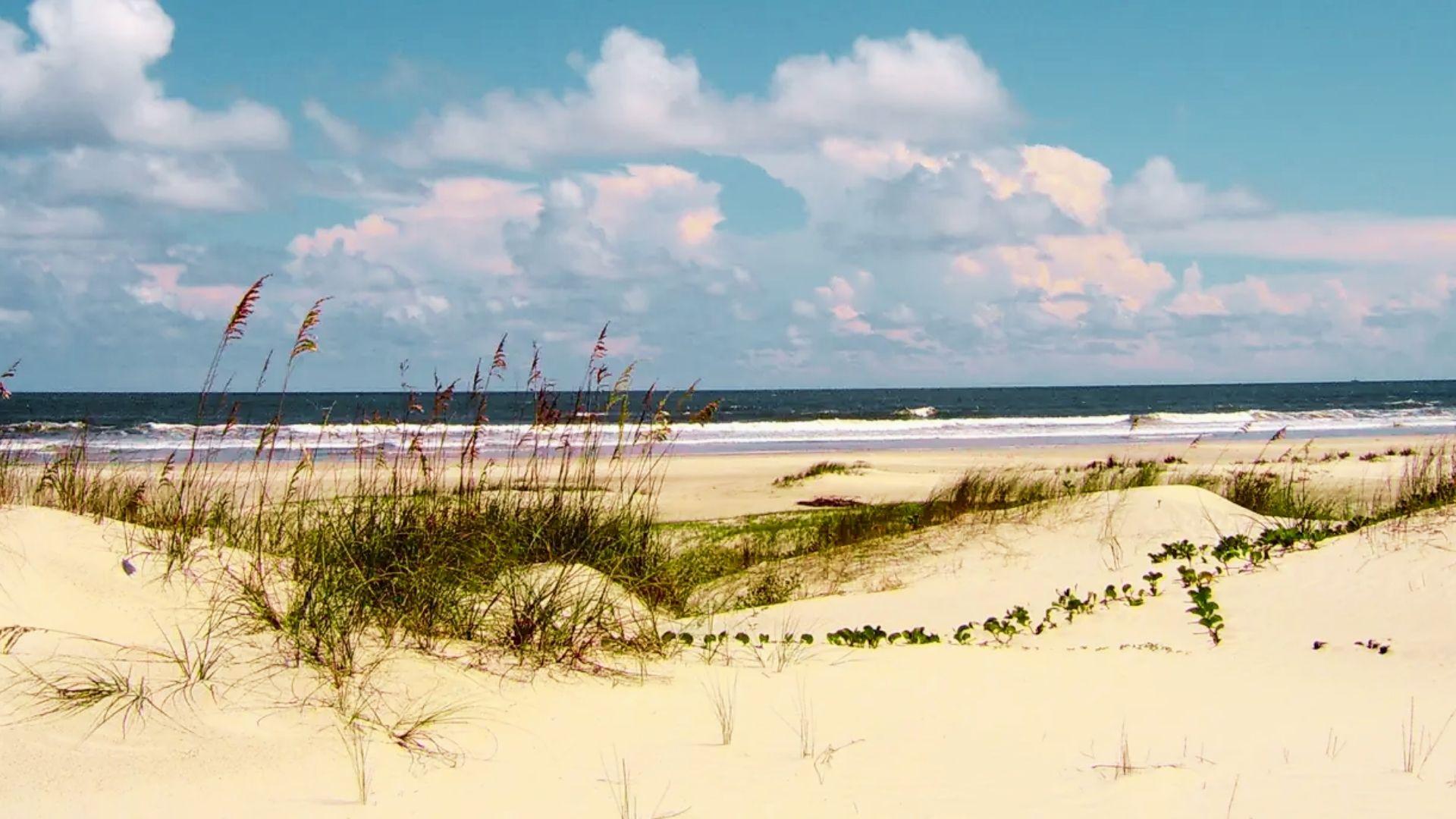 image of Cumberland Island is Georgia.