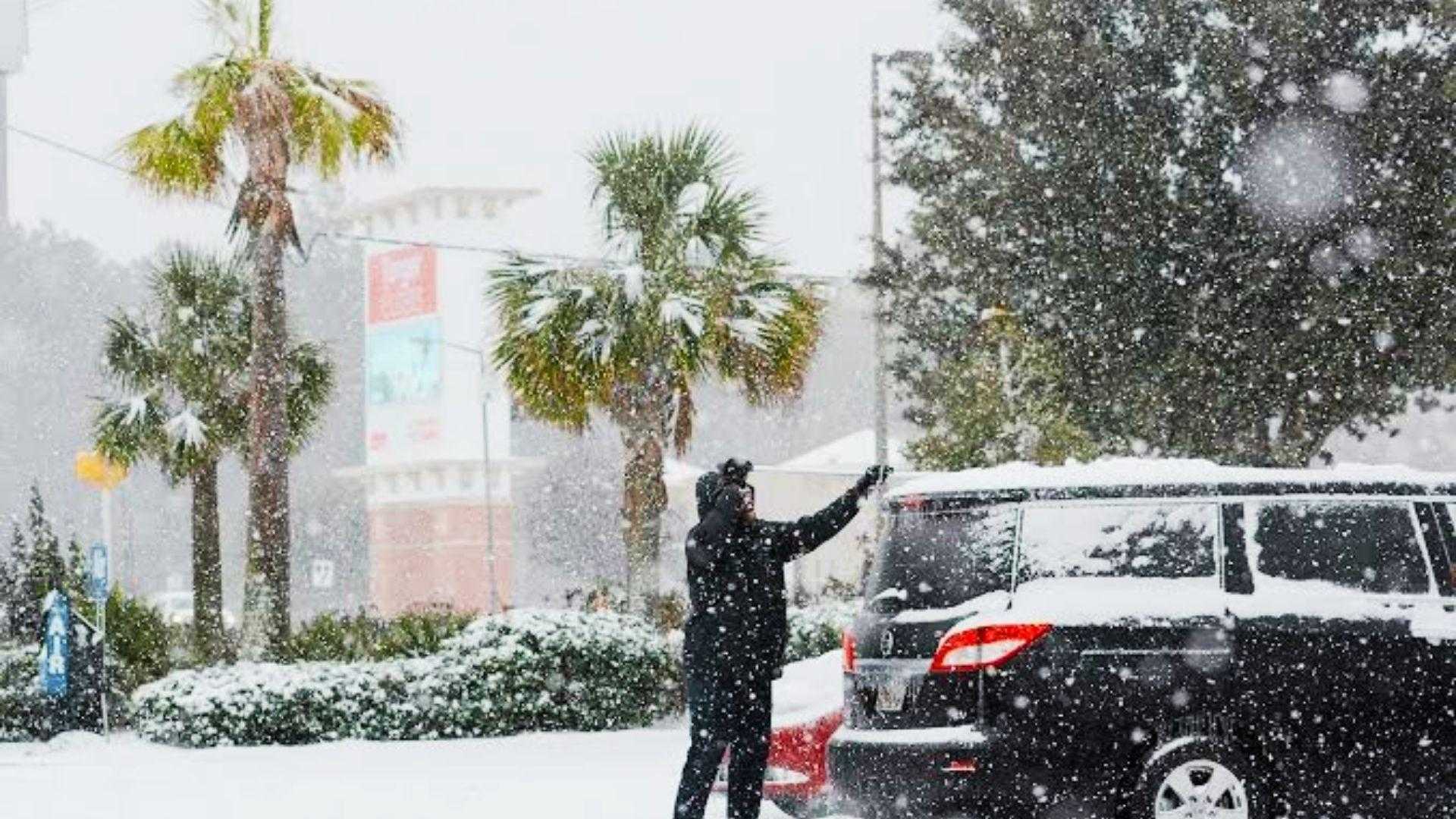 image of peak winter in Savannah during December.
