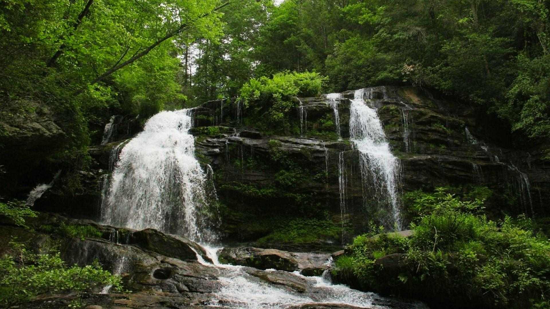 8. Hike in Chattahoochee-Oconee National Forest