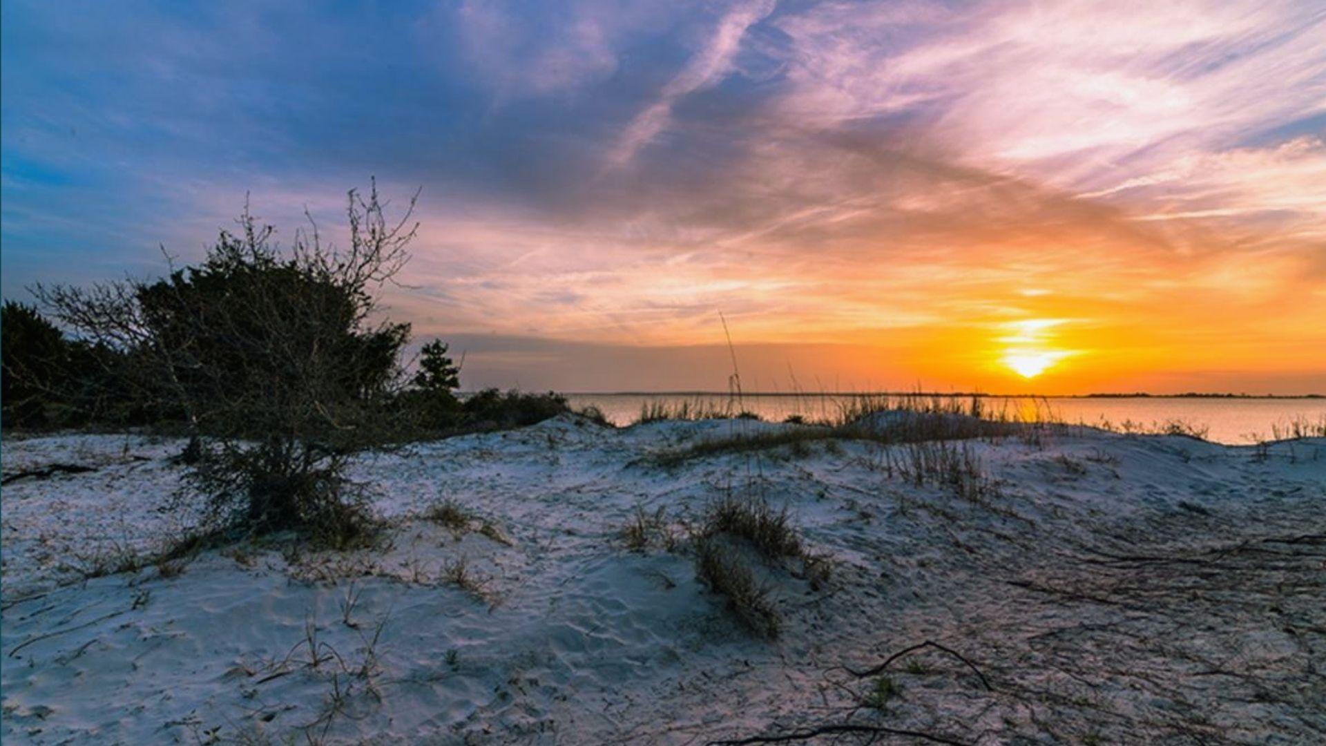 Vibrant sunset over water beyond sandy dunes with wispy pink clouds and sparse coastal shrubs