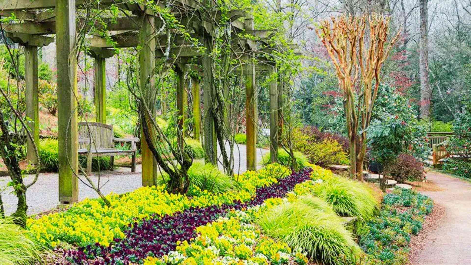 13. Gibbs Gardens