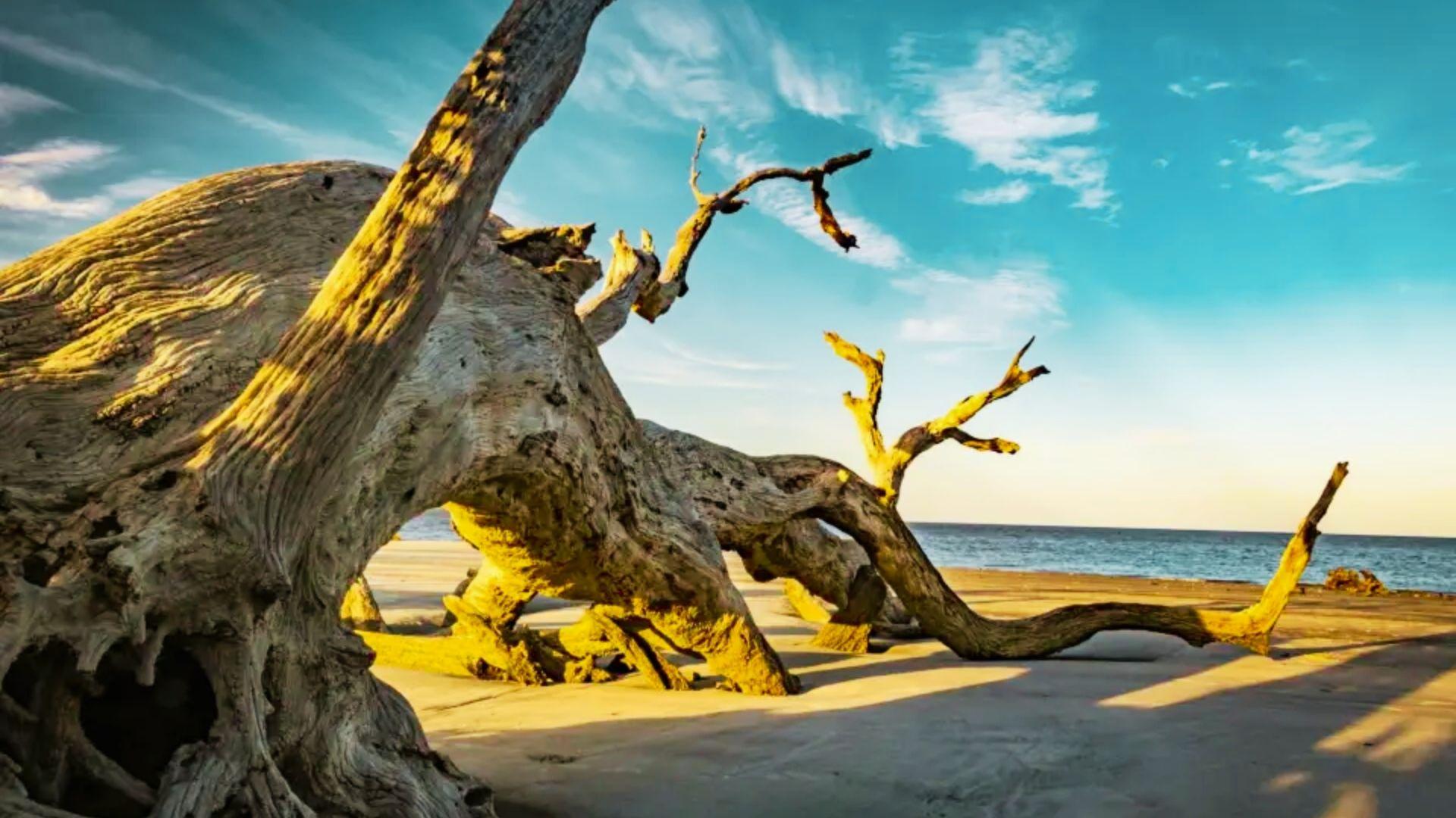one of the famous beaches of Atlanta.