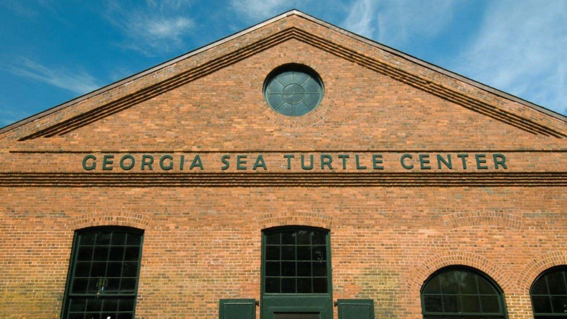 Brick facade of Georgia Sea Turtle Center with green-trimmed windows and circular window above