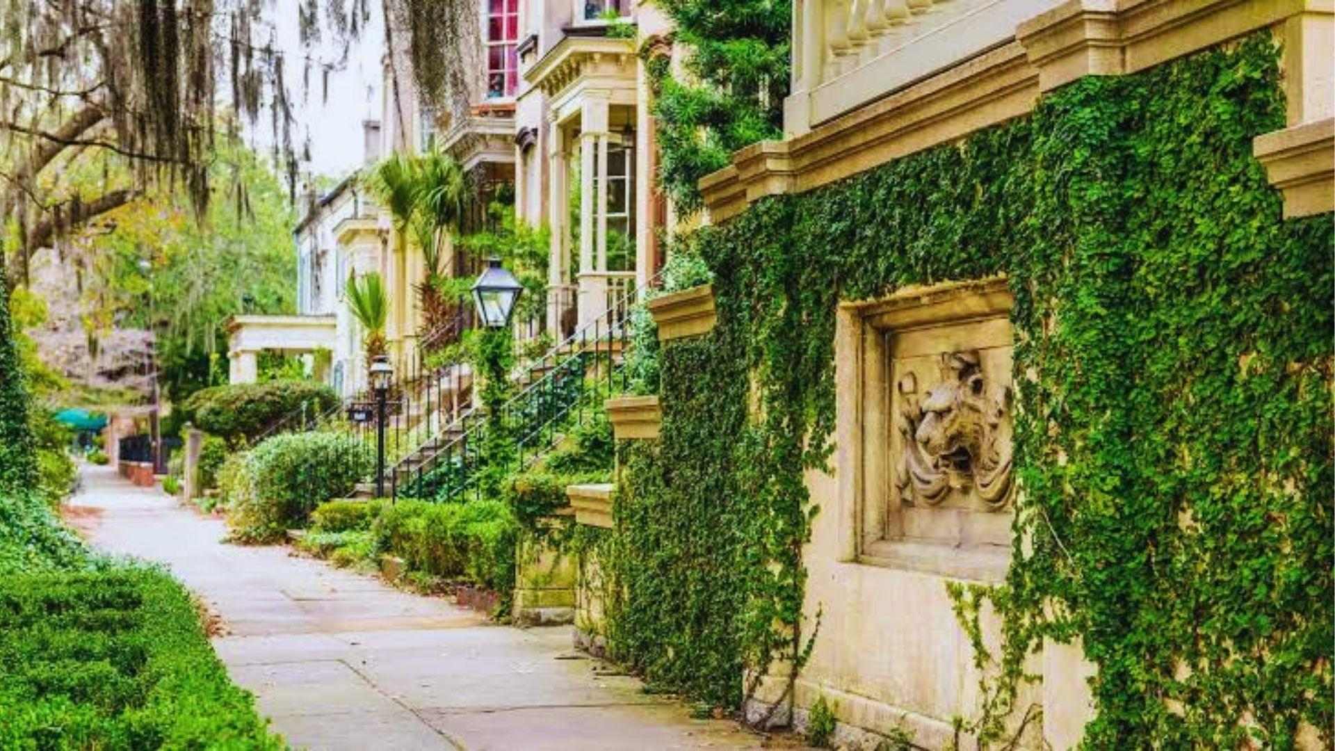 Lush ivy-covered stone wall lining historic sidewalk with vintage lampposts and moss-draped oaks nearby today.