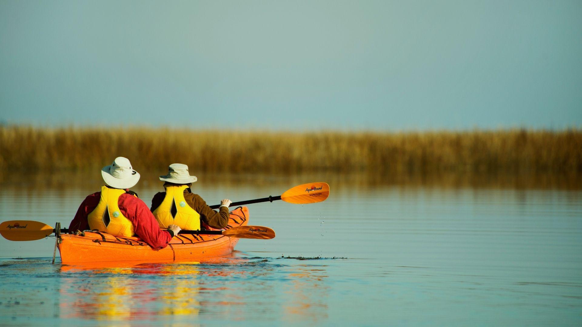 17. Kayaking and Learn About Coastal Ecology
