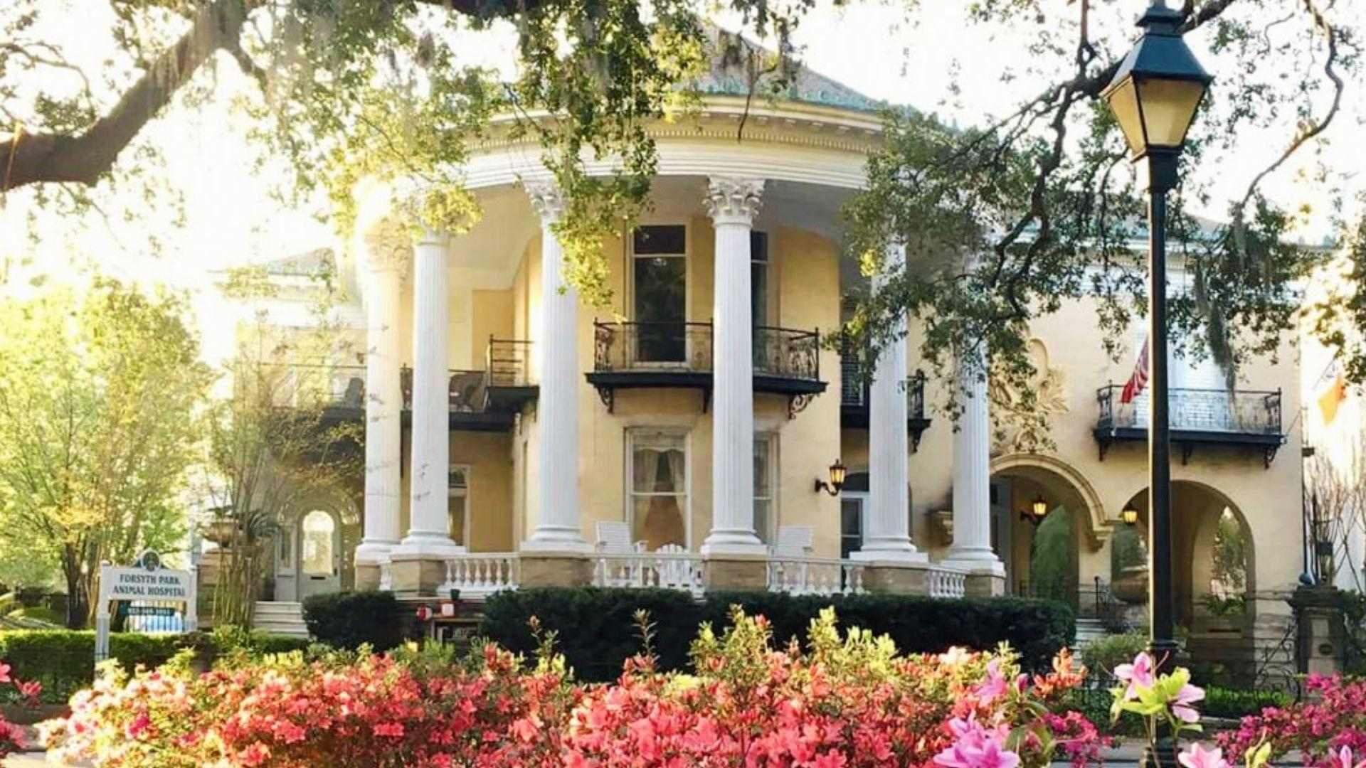 Historic yellow mansion with white columns and pink azaleas blooming