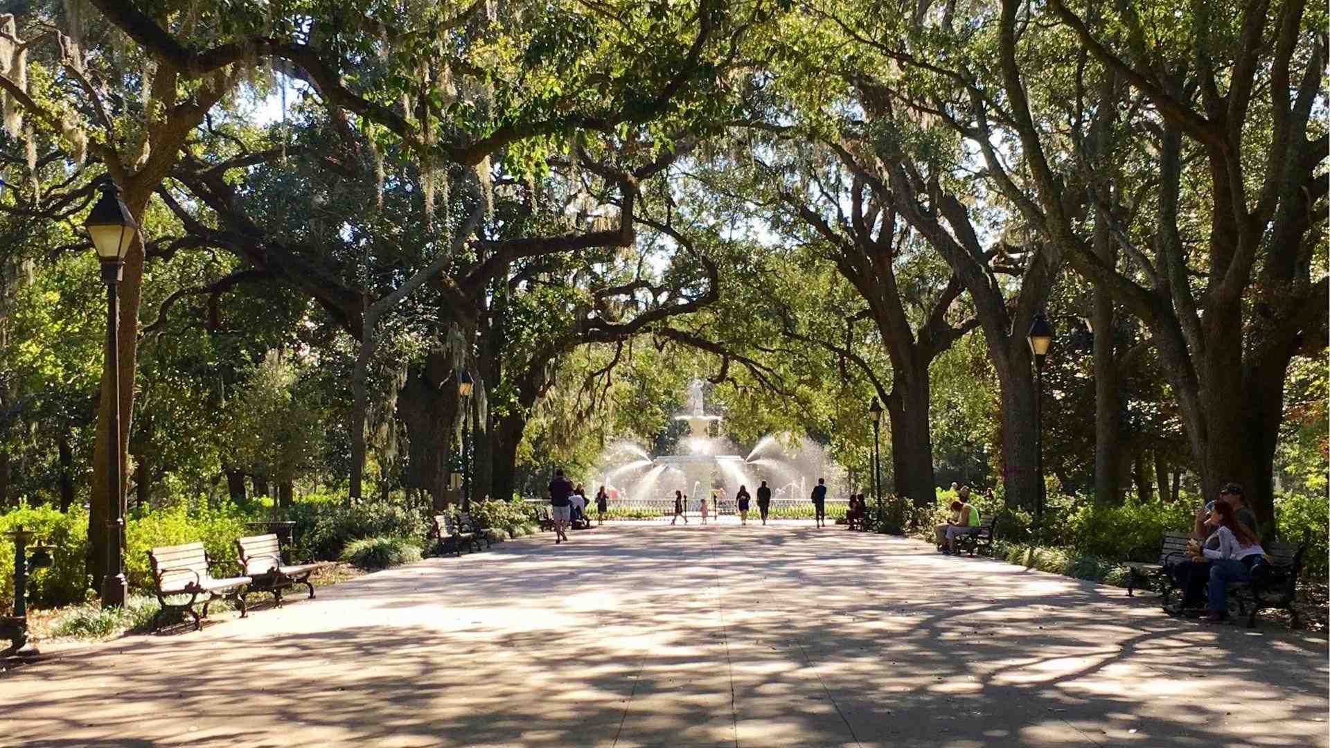 Forsyth Park fountain walkway lined with live oaks in Savannah winter