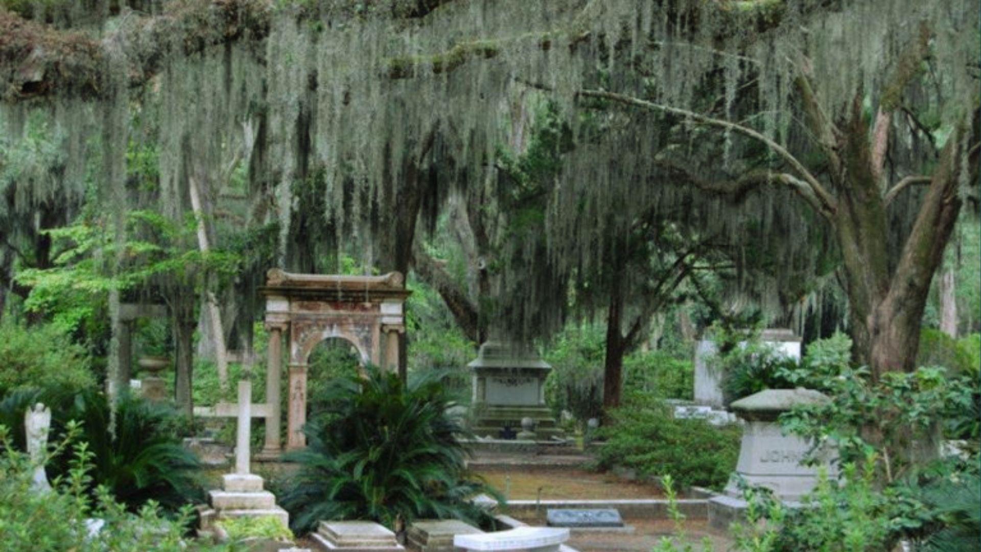 Overgrown cemetery with stone tombs and crosses under moss-covered oaks in Bonaventure
