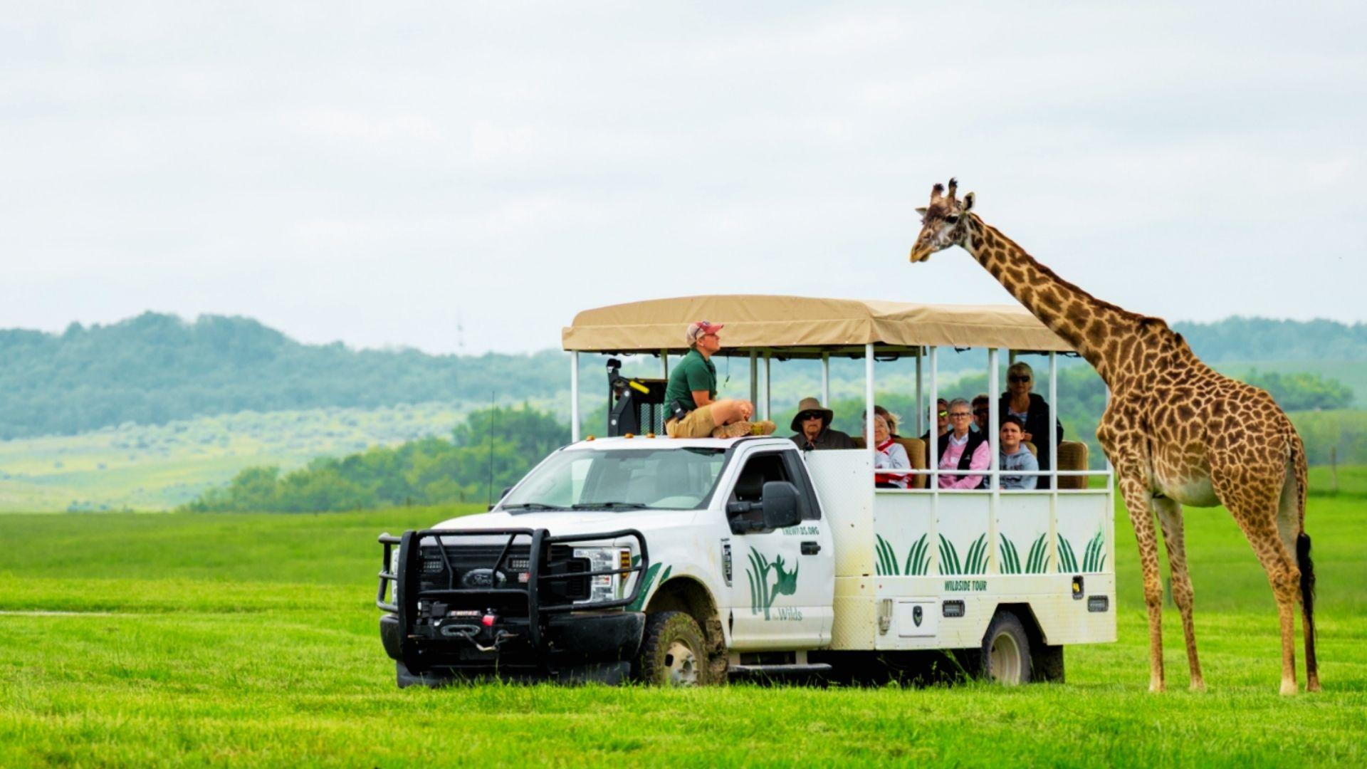 people enjoying safari day trip in Columbus.
