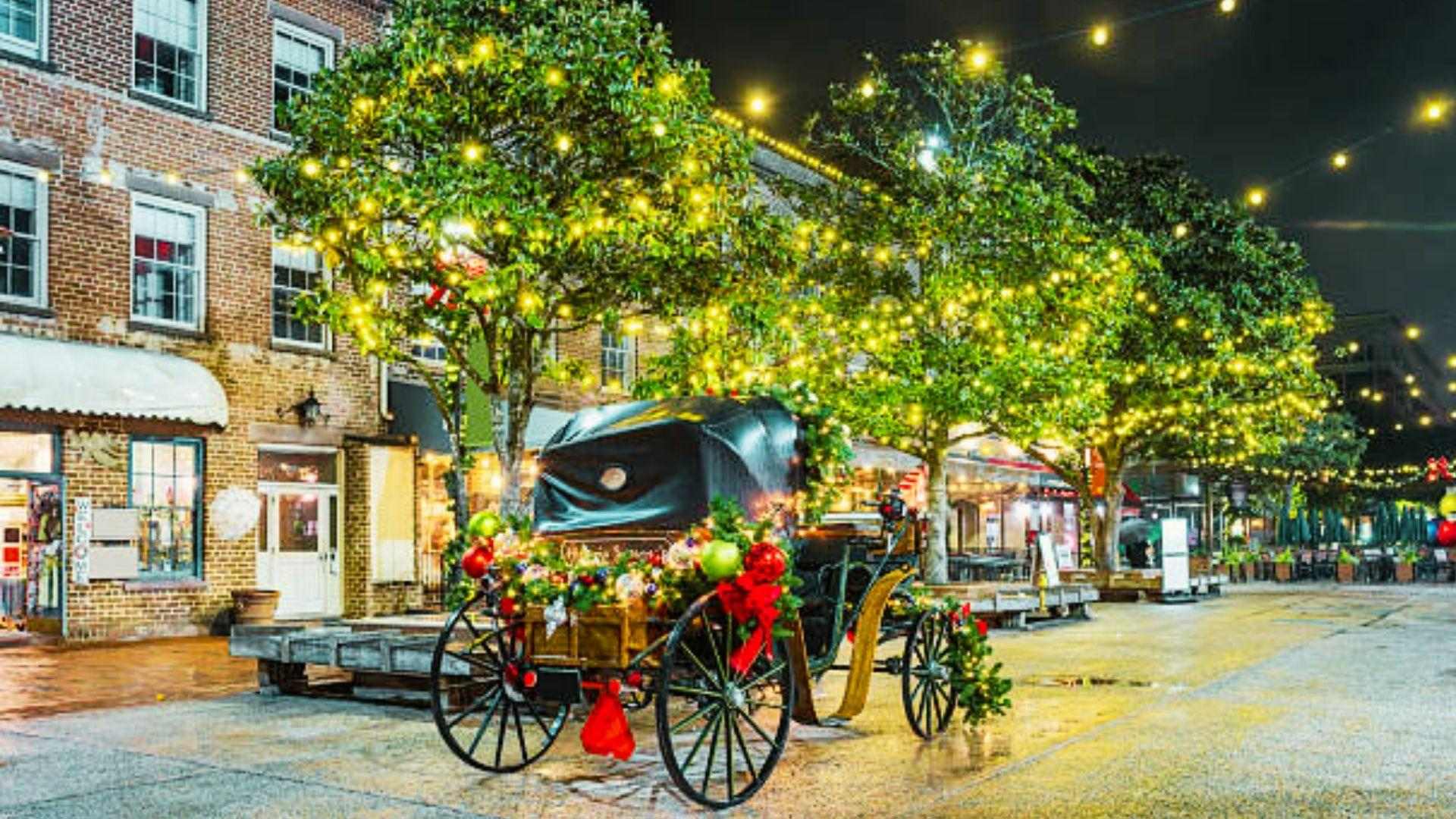 image showing Christmas lights in Savannah.