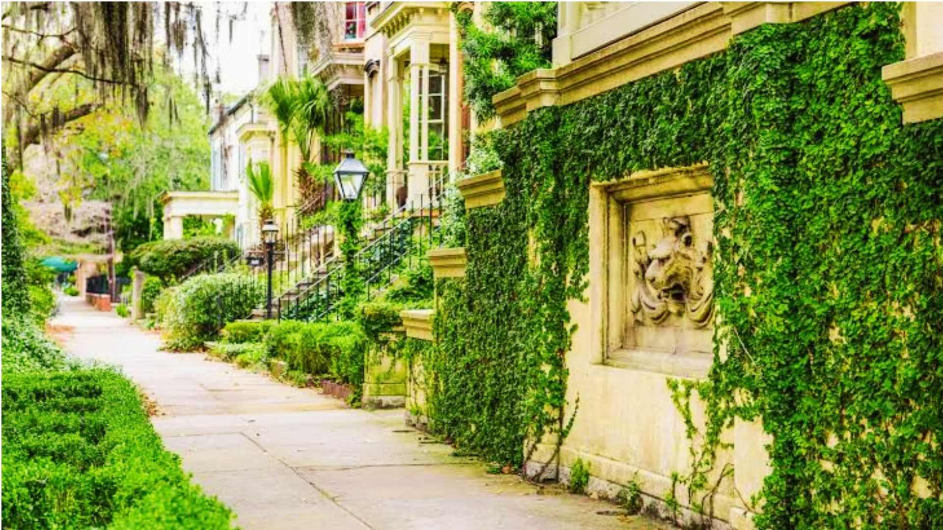 Historic Savannah sidewalk with ivy-covered walls and charming Southern architecture