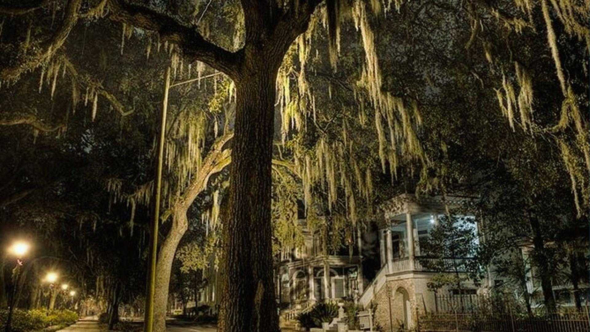 Moonlit Savannah street with moss-draped oaks, glowing streetlamps and historic Victorian houses
