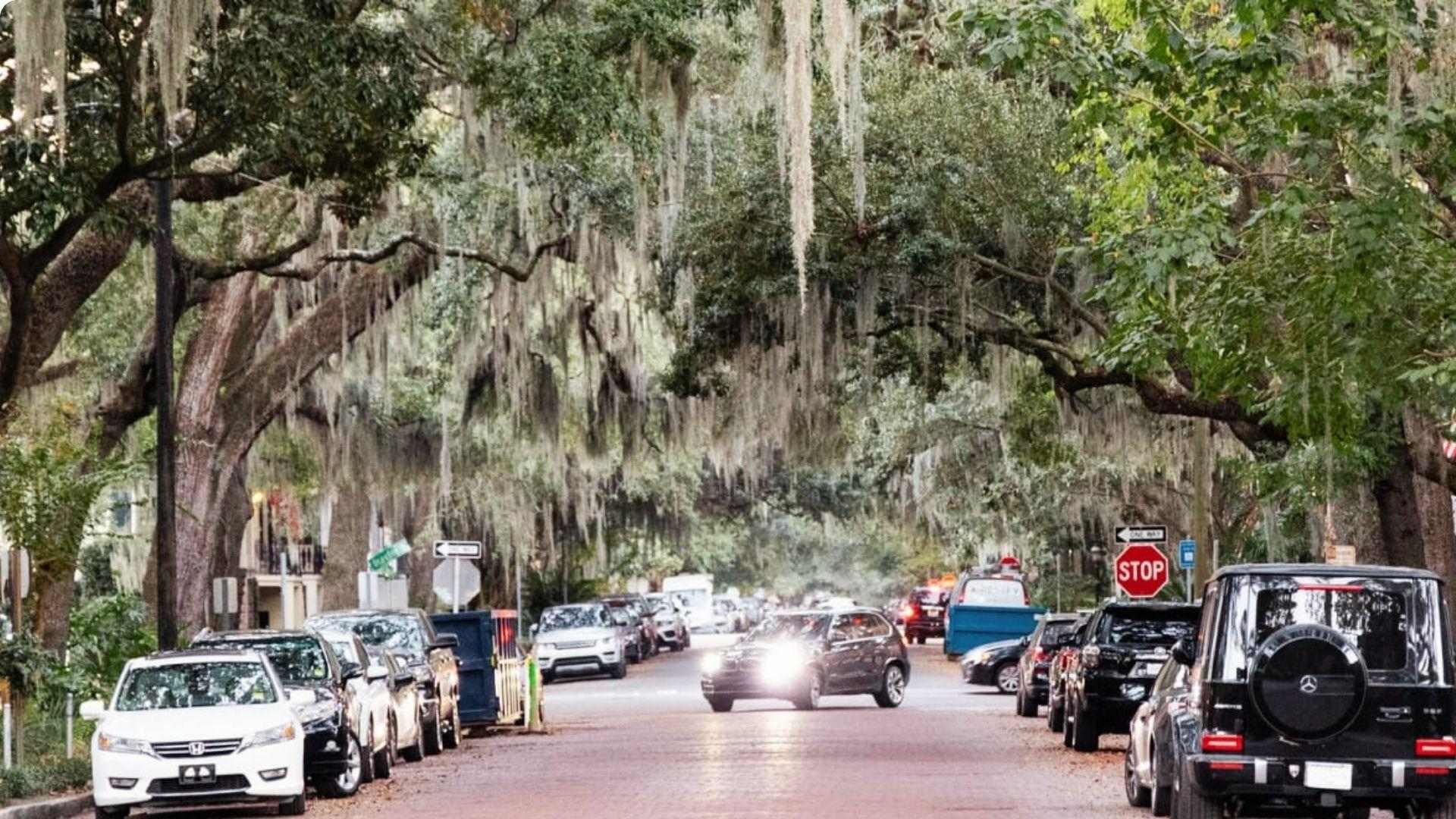 Scenic oak-lined street with Spanish moss and historic homes in Savannah in fall
