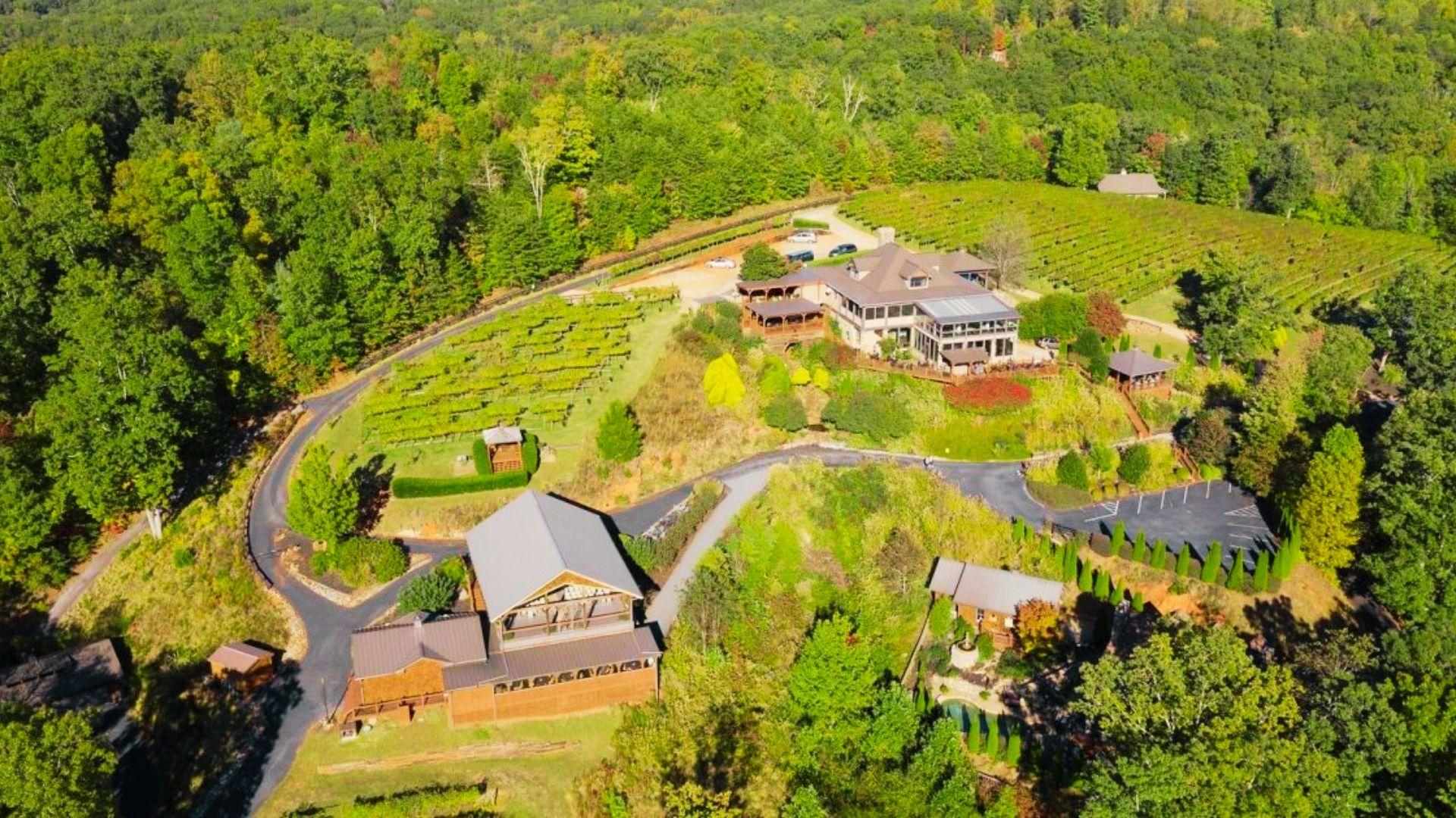 6. Sip Local Wines at Dahlonega's Vineyards