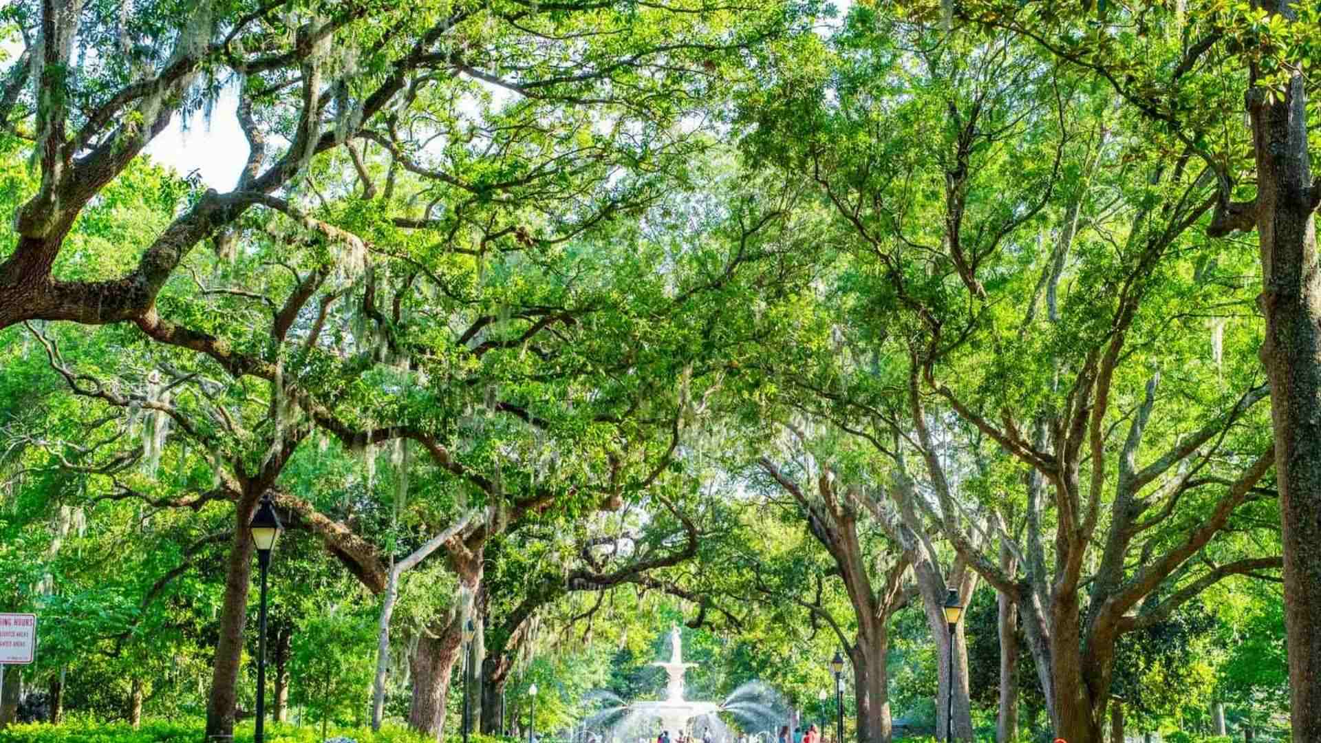 Forsyth Park fountain framed by live oaks with Spanish moss in Savannah in October