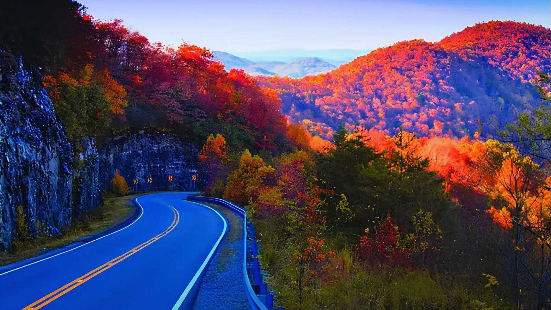 Winding mountain road through autumn forest with red orange foliage and rocky cliffside under sky.