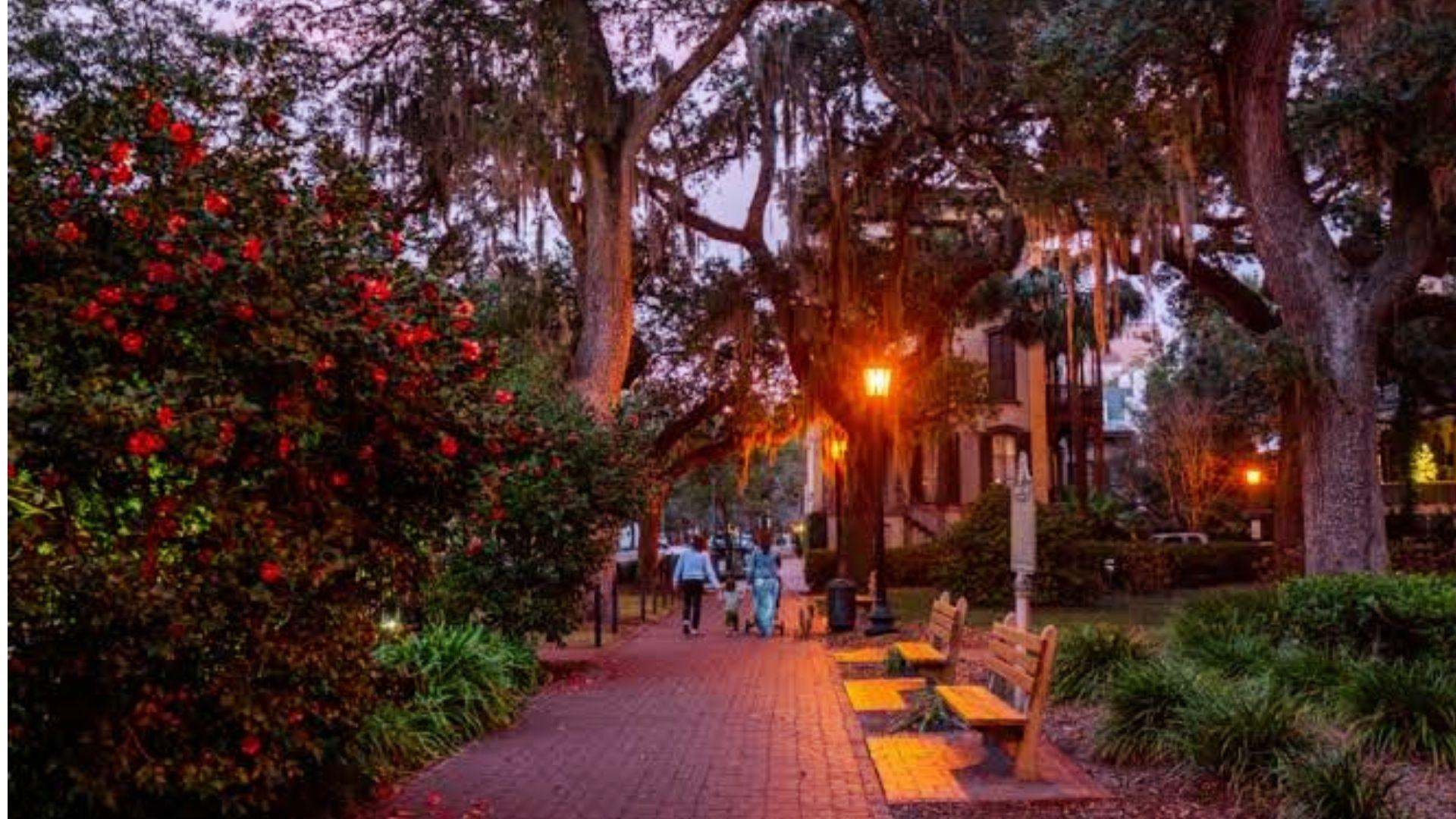 Evening brick path in Savannah square with Spanish moss oaks, benches and red fall blooms
