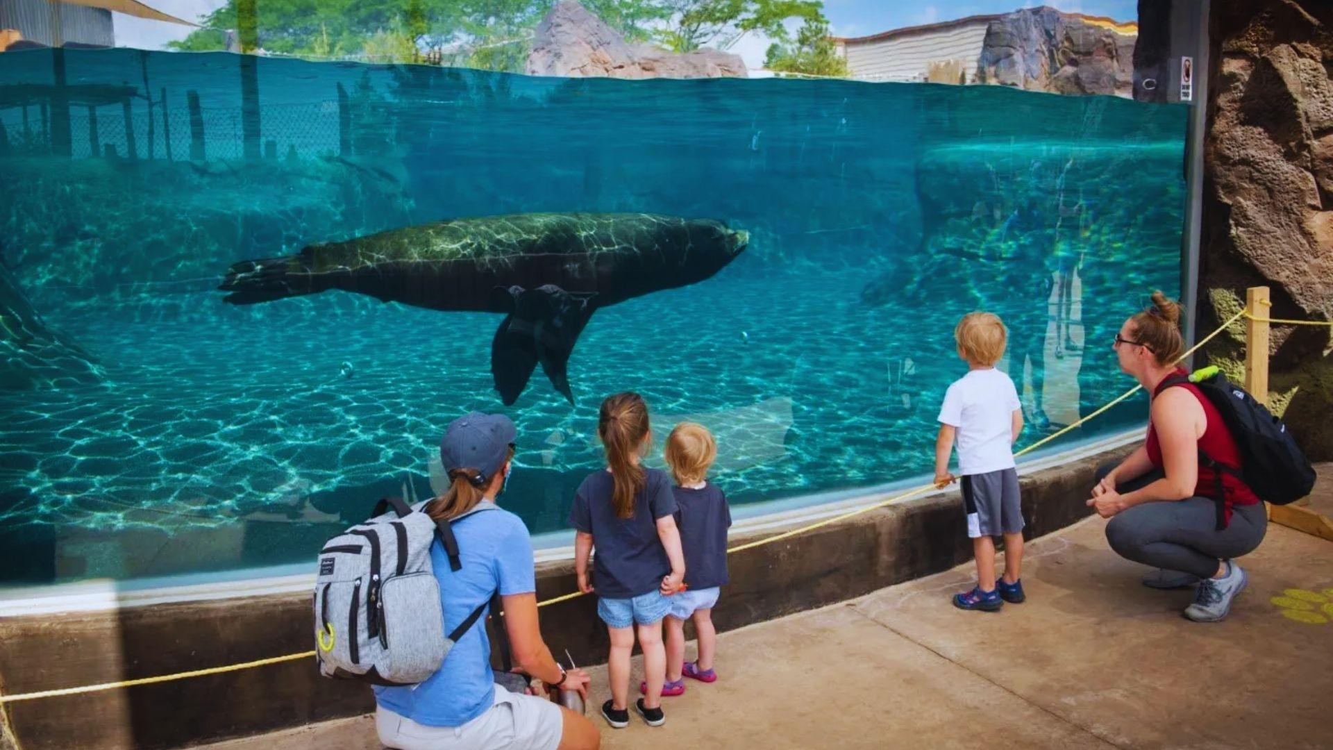 children enjoying at Columbus Aquarium.
