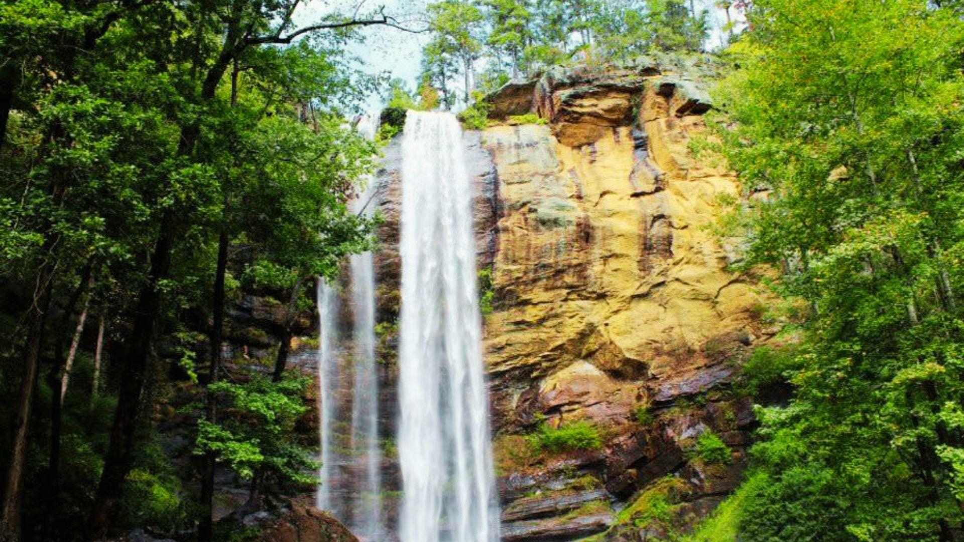 image of Toccoa Falls.