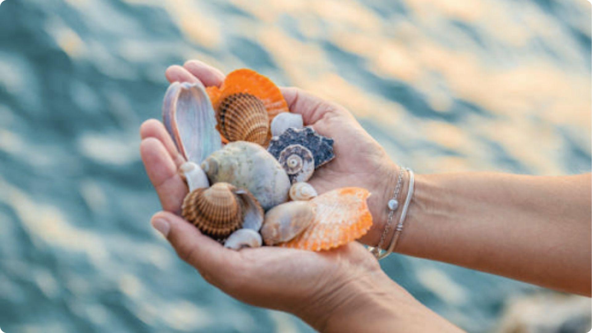 Hands holding colorful seashells collected at East Beach St Simons with a shimmering blue ocean behind.