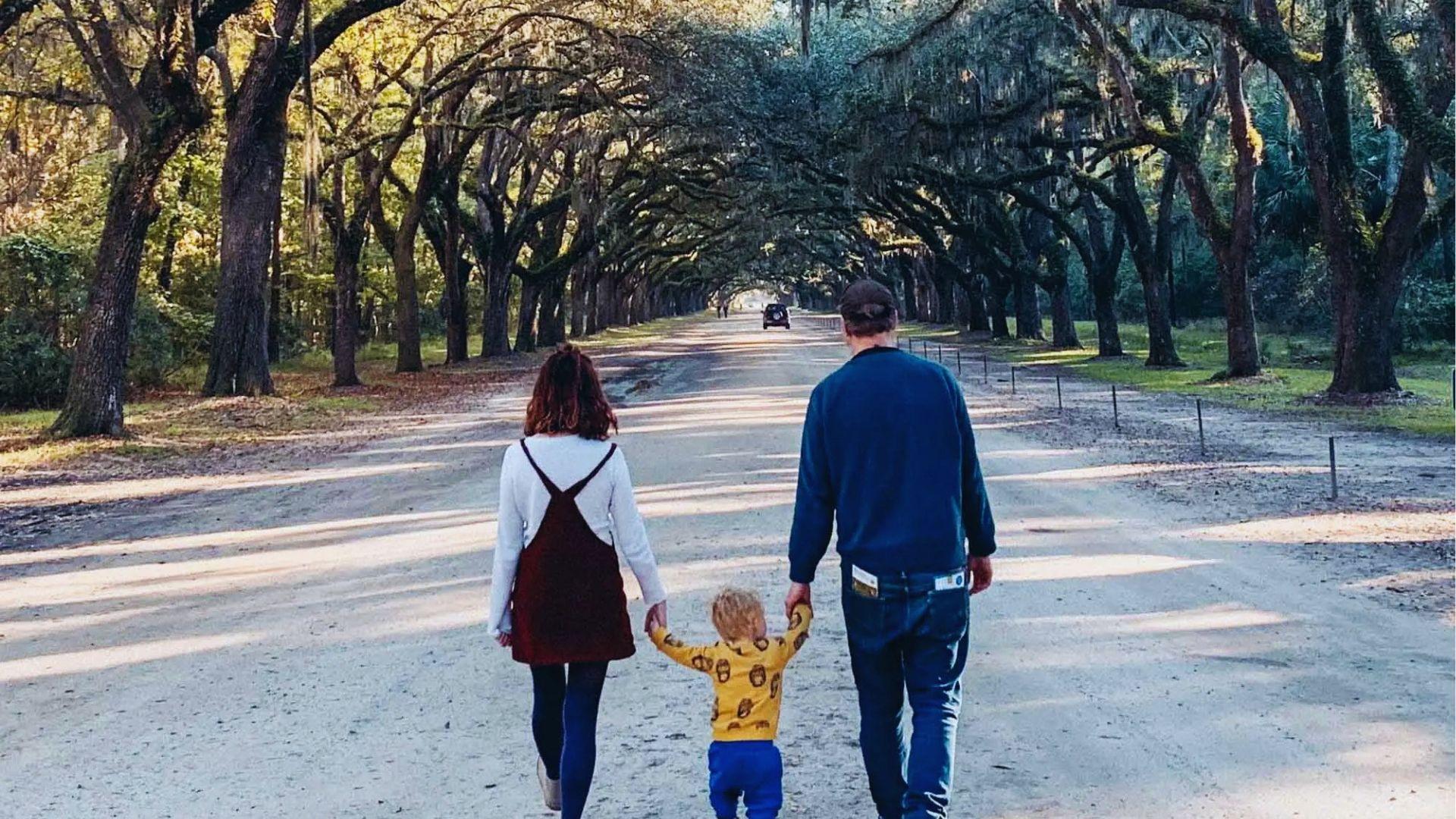 Family holding hands walking away down oak-lined dirt road draped with Spanish moss during sunset.