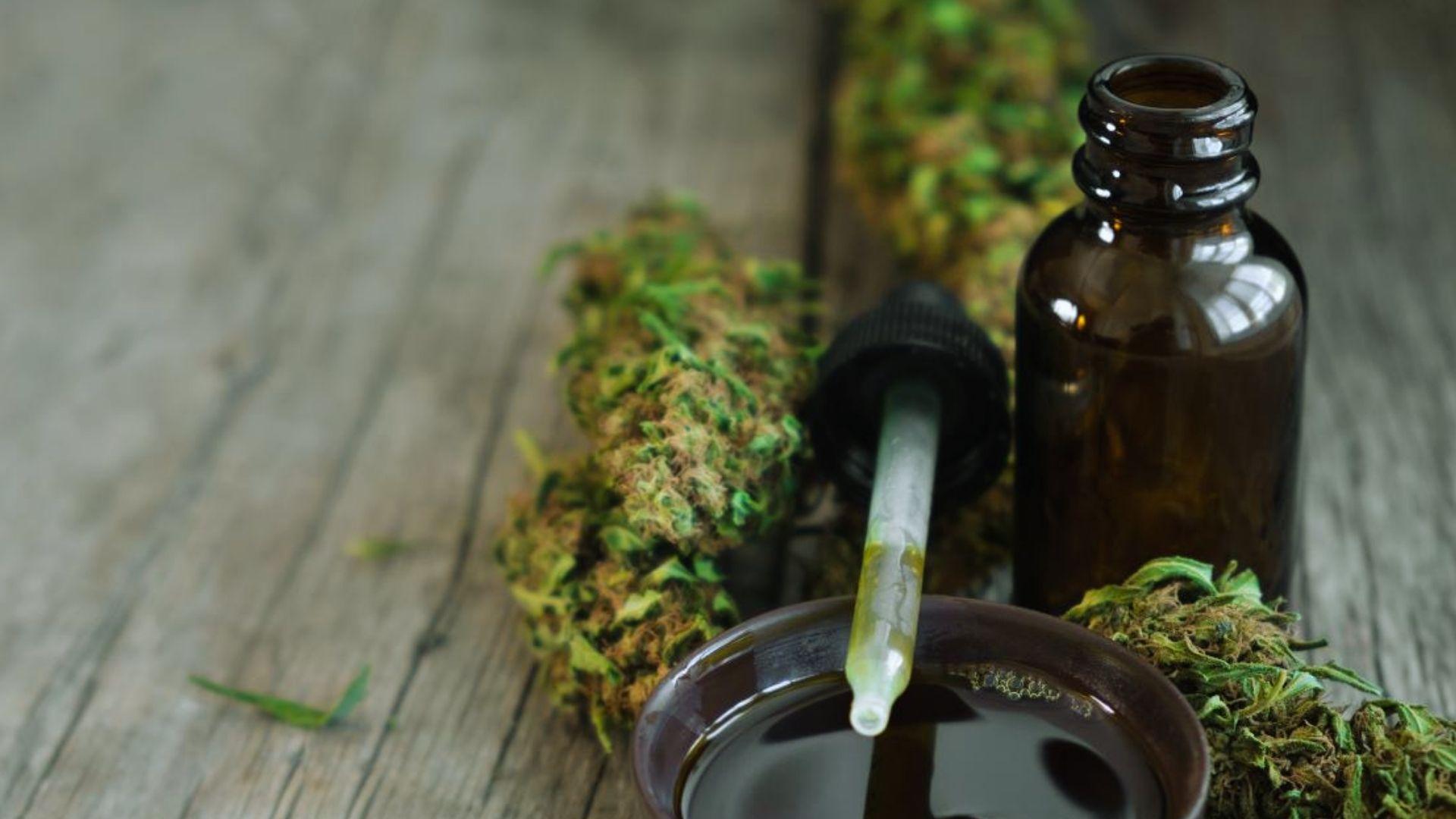 Brown dropper bottle and small bowl of dark oil surrounded by dried cannabis buds on wooden surface