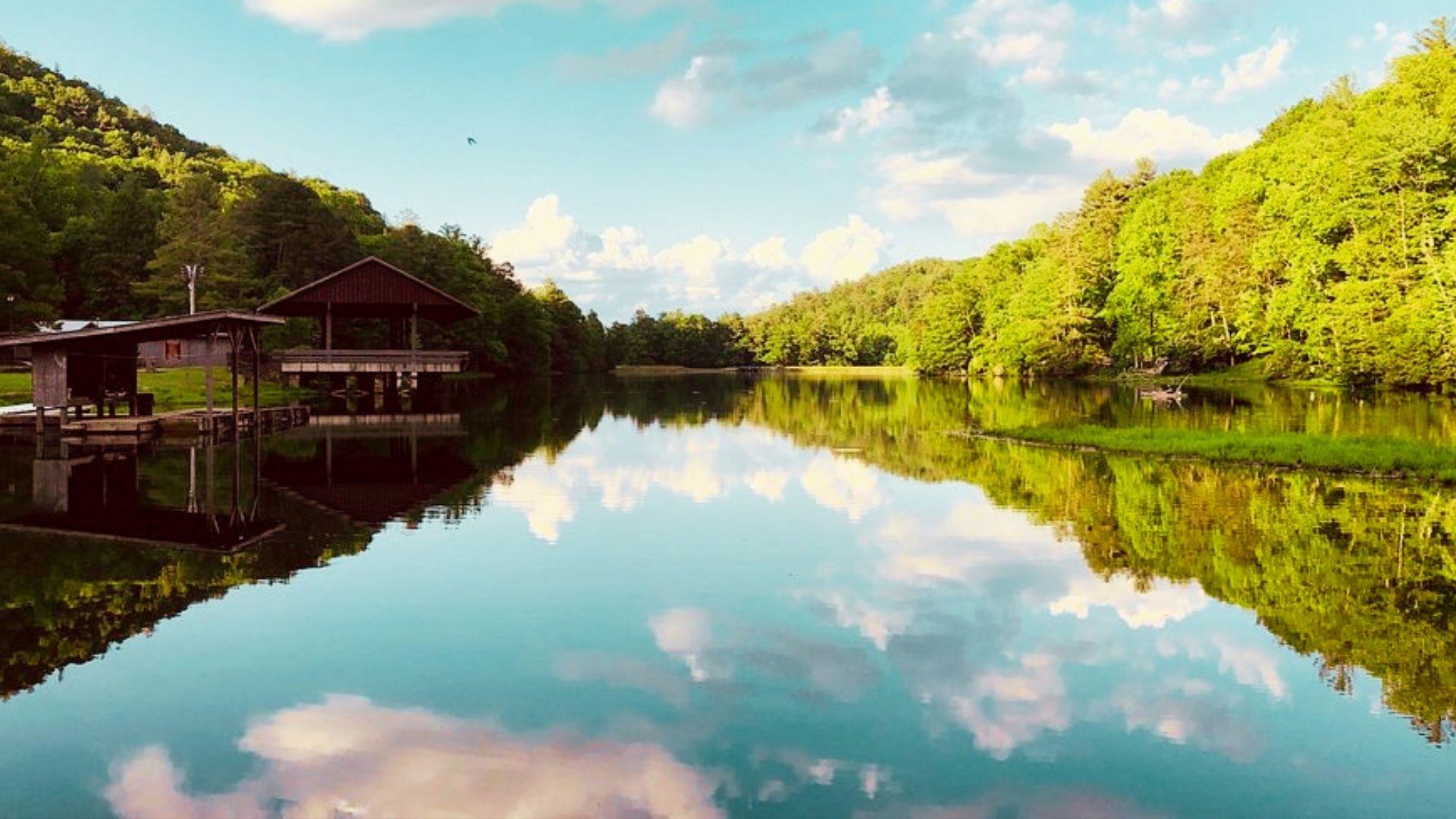 image of Vogel State Park.