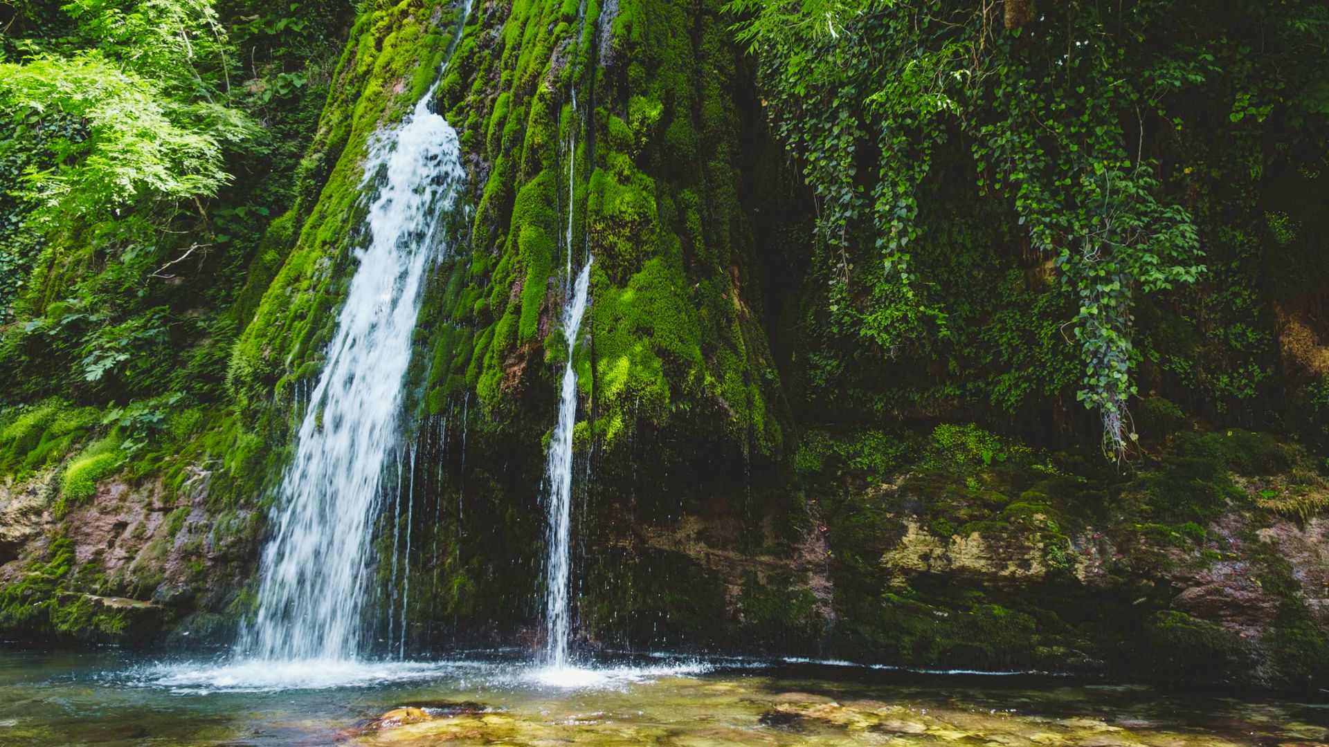 Moss-covered waterfall cascading into clear pool amid lush Georgia greenery