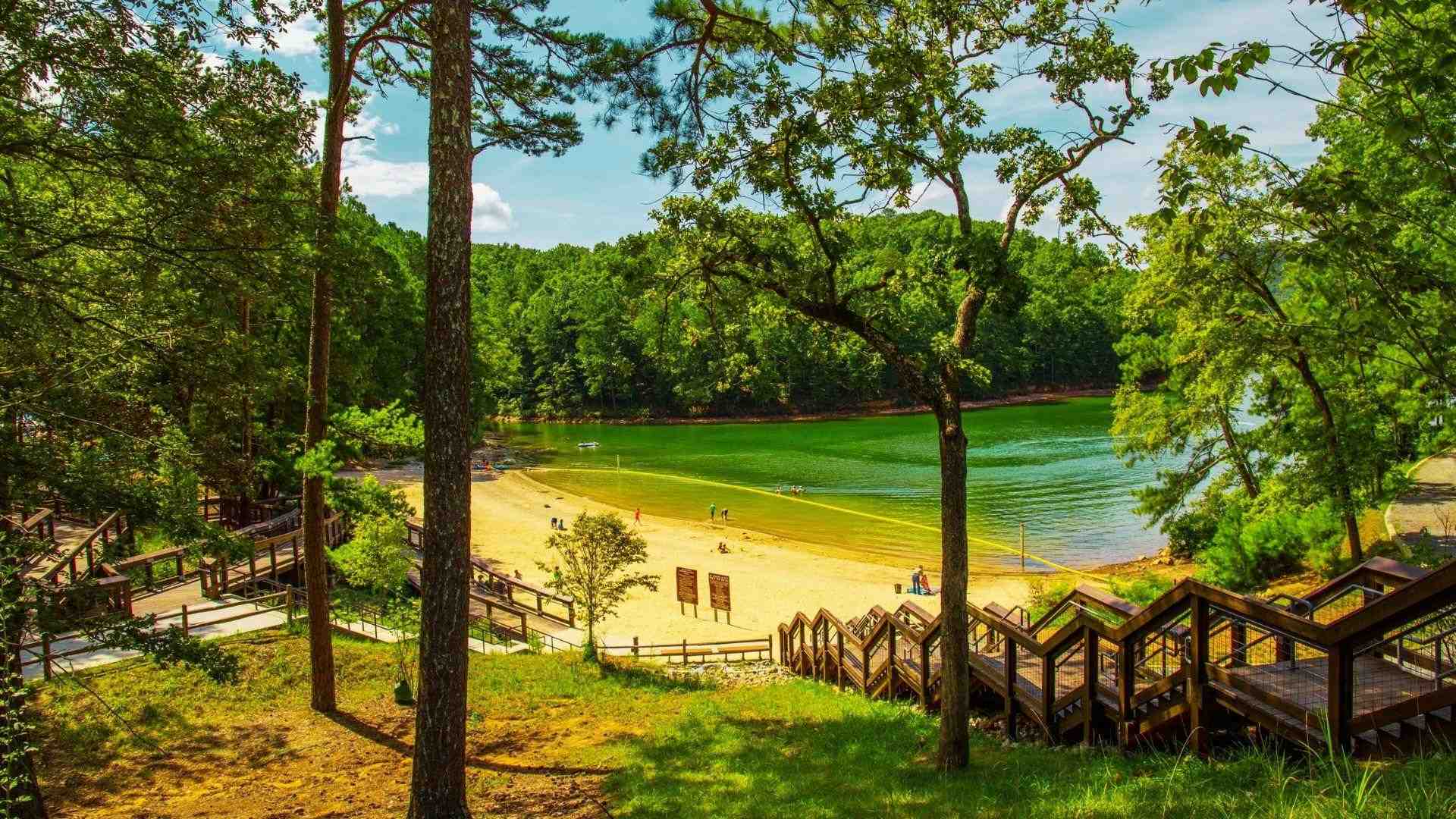 image showing nature surrounding Lake Allatoona.