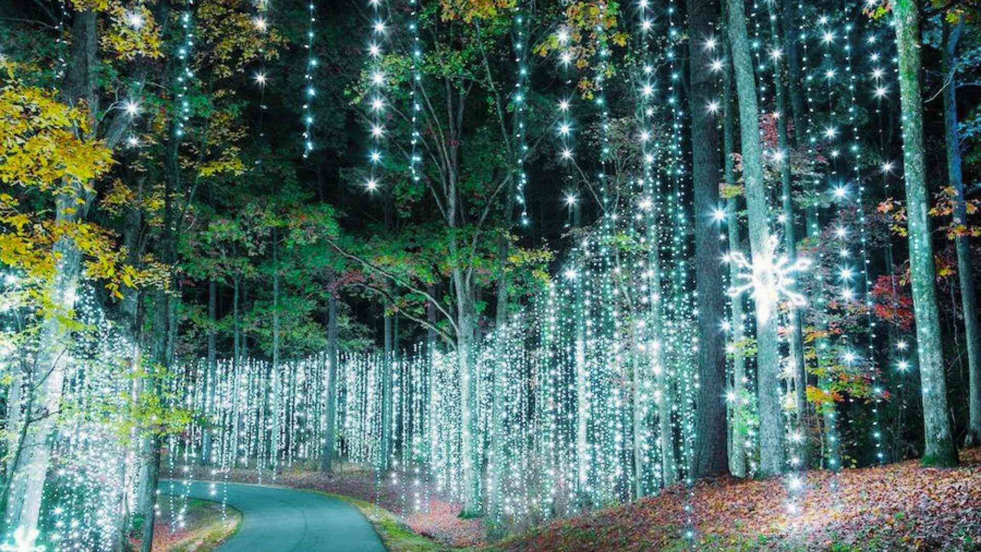 image showing the streets of Callaway Gardens.