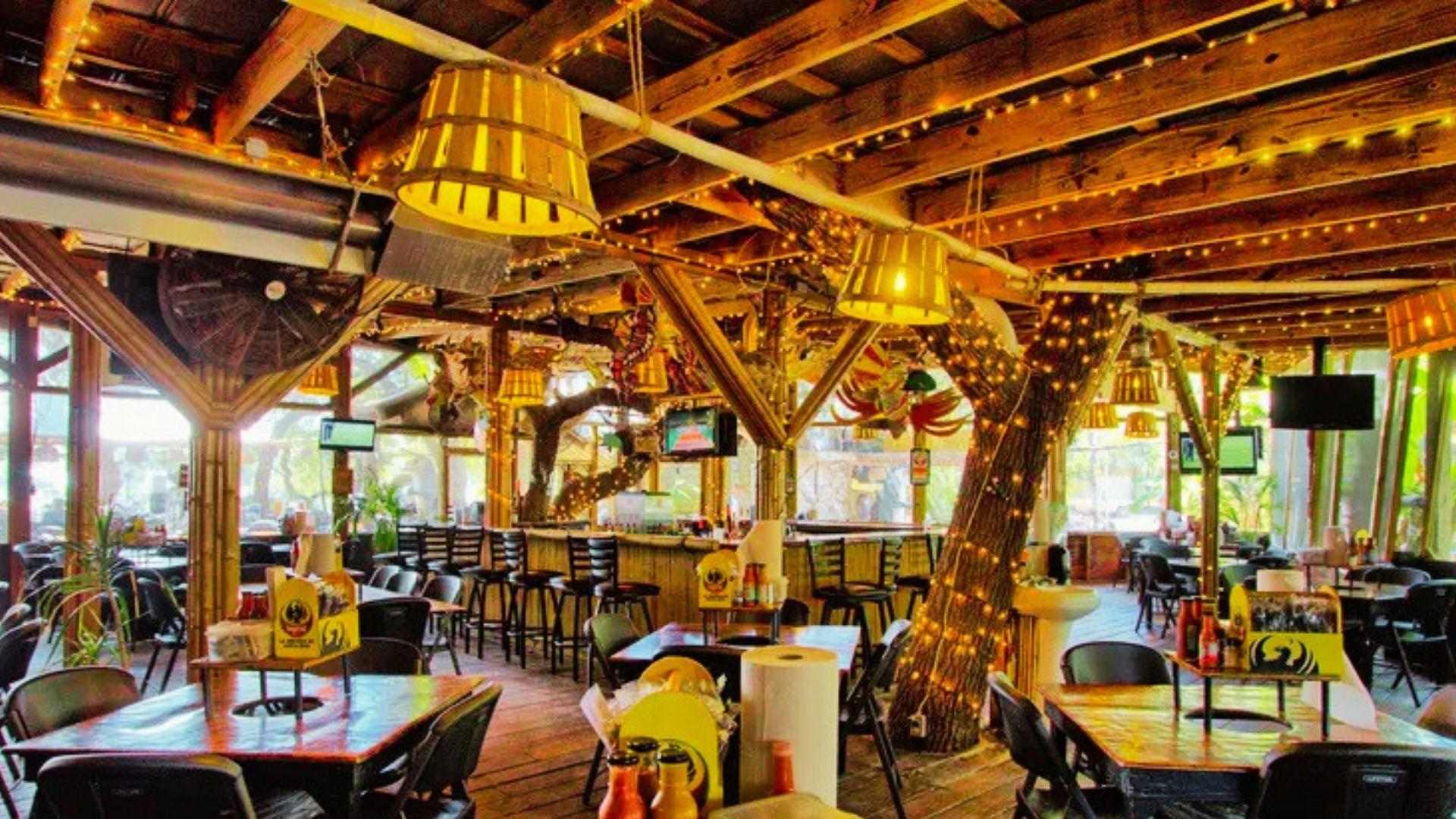 image showing inside the Husk Savannah.