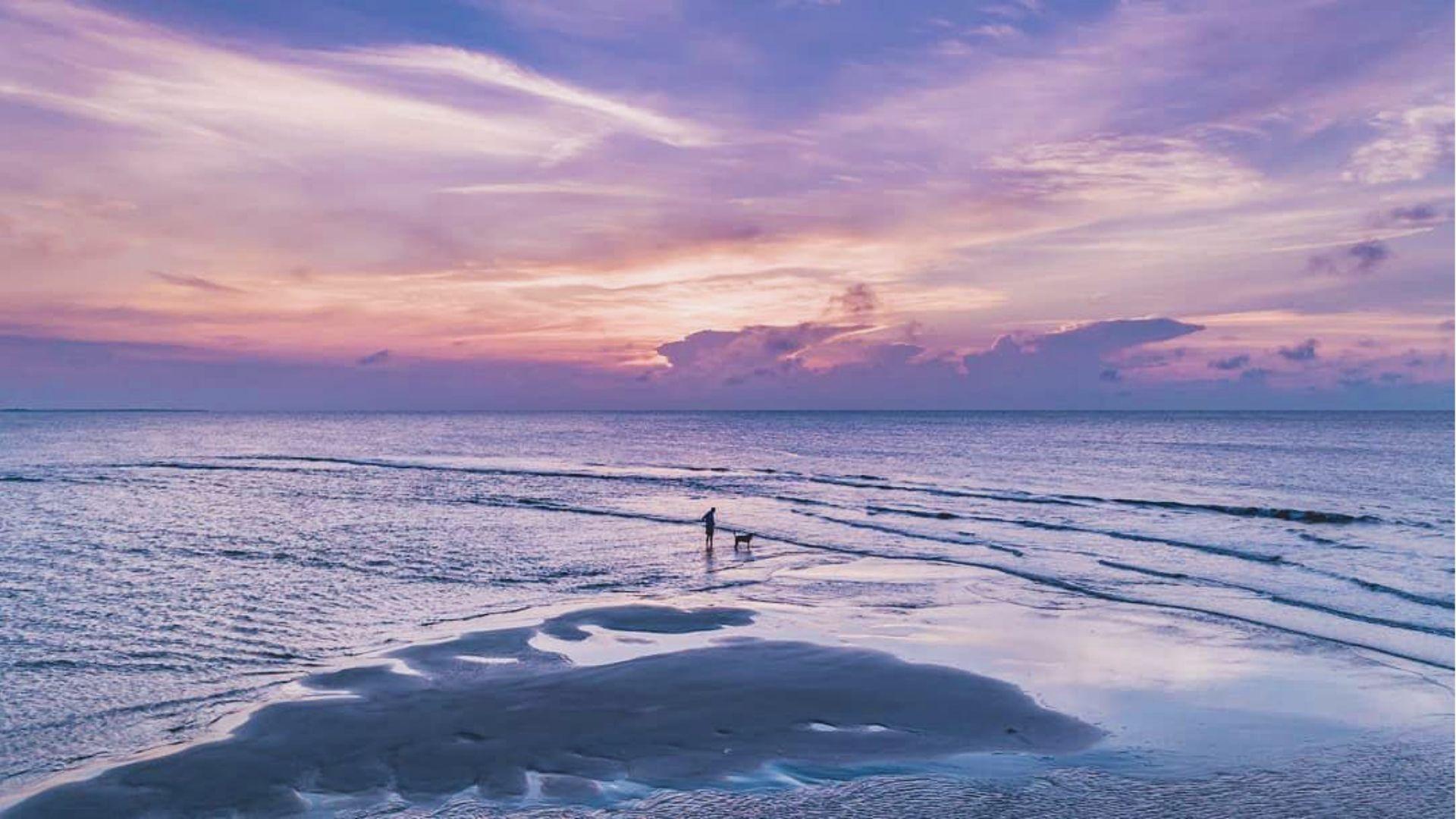 Person and dog standing on tidal flat at purple-pink sunset over calm ocean waves stretching.