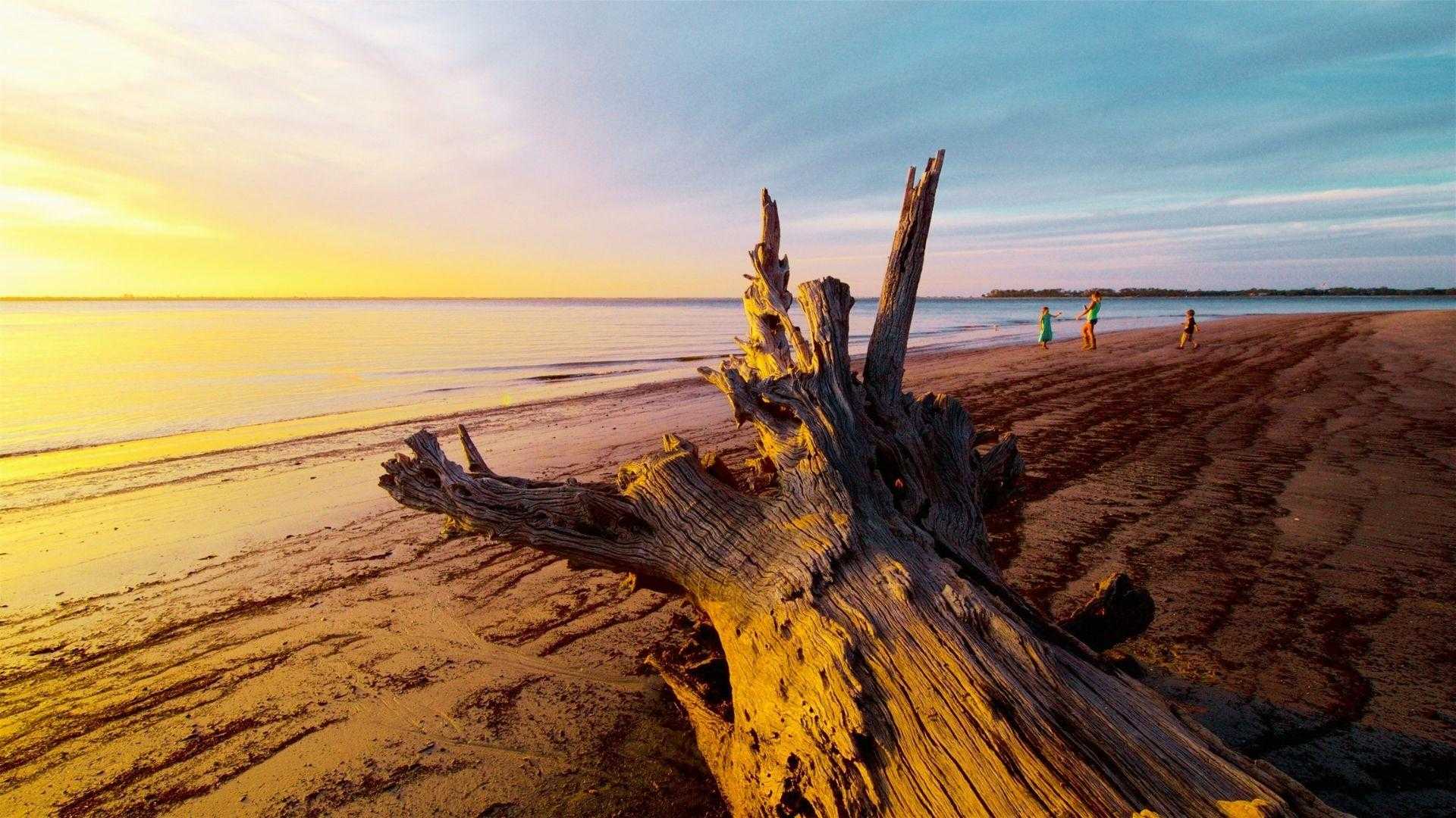 image showing sunset view on the coastline.
