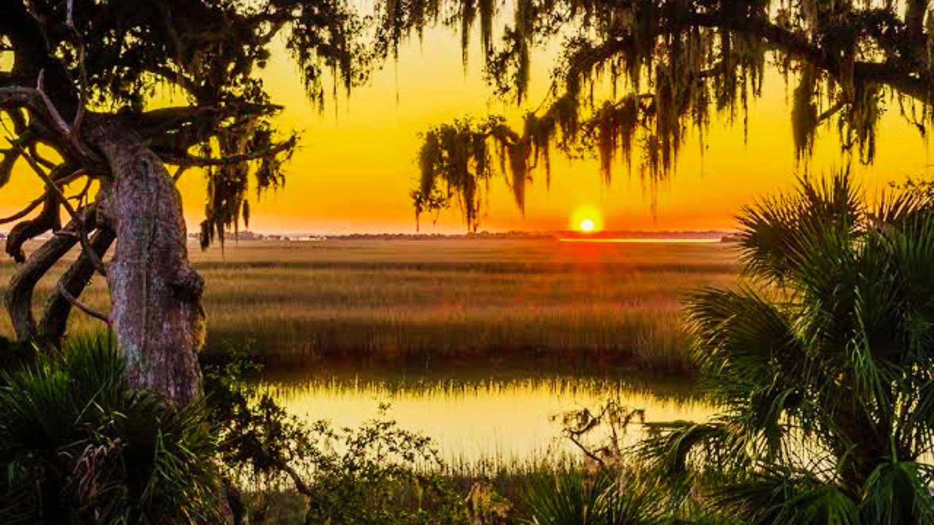 Cumberland Island is one of the top picks Romantic Getaway Destinations in Georgia