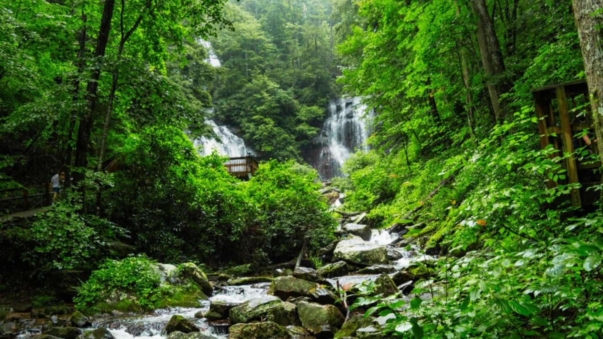 image of Anna Ruby Falls.