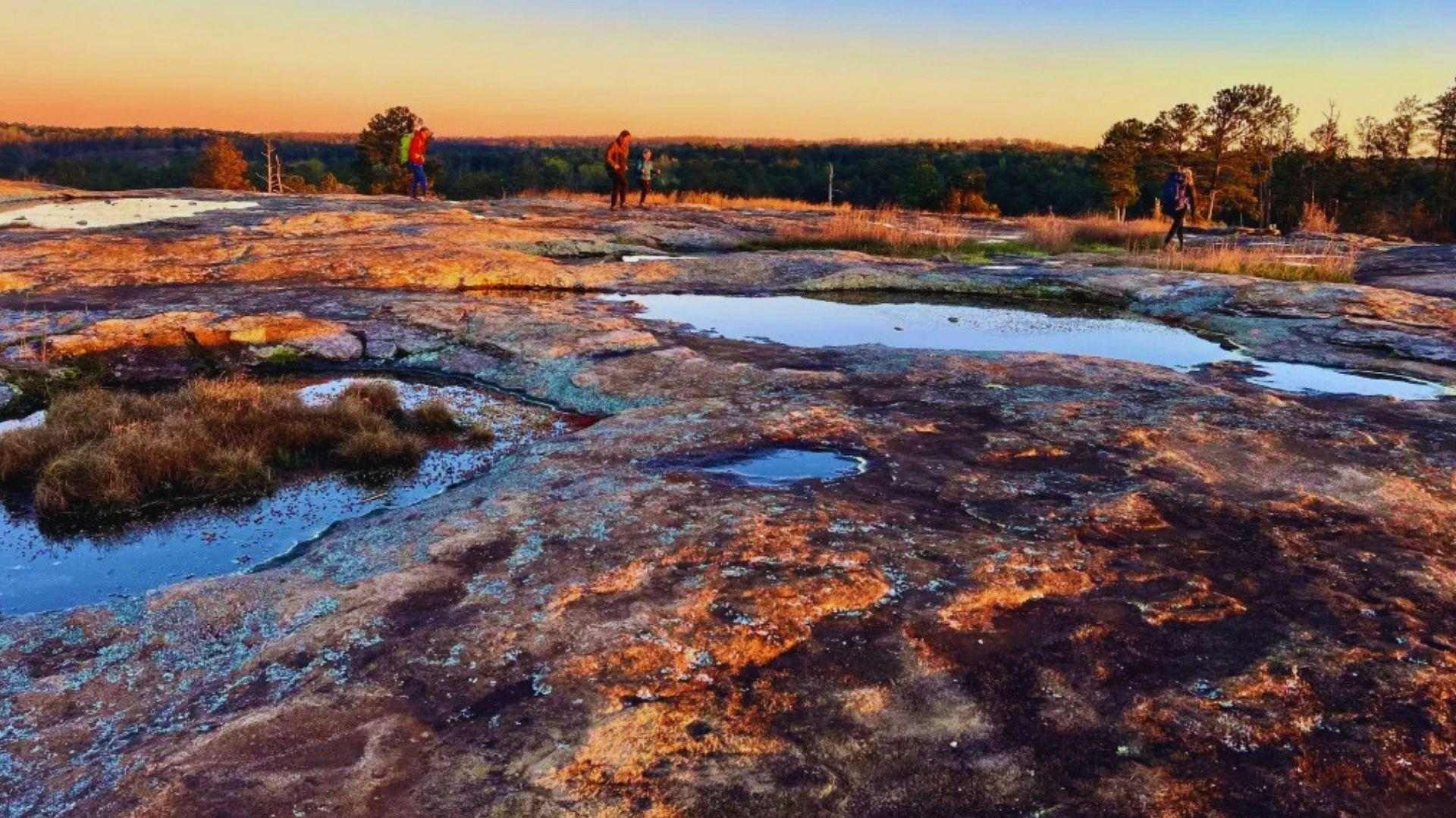 image of Arabia Mountain in Atlanta.