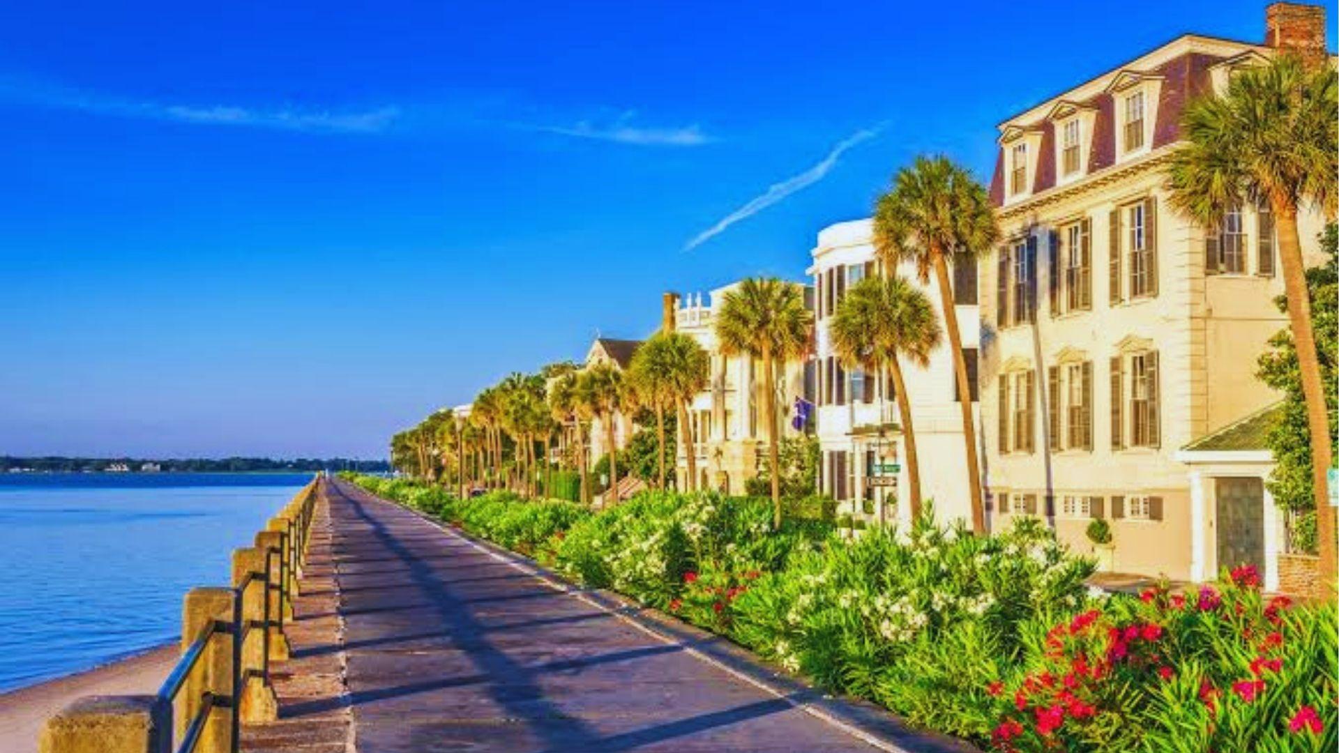 Battery promenade with historic mansions palm trees flowering bushes and waterfront view under blue sky.