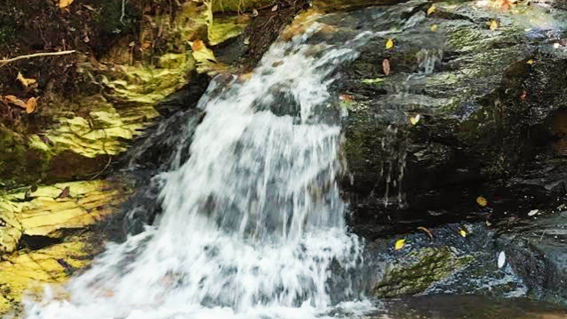 Warm Springs is one of the top picks for Romantic Getaway Destinations in Georgia