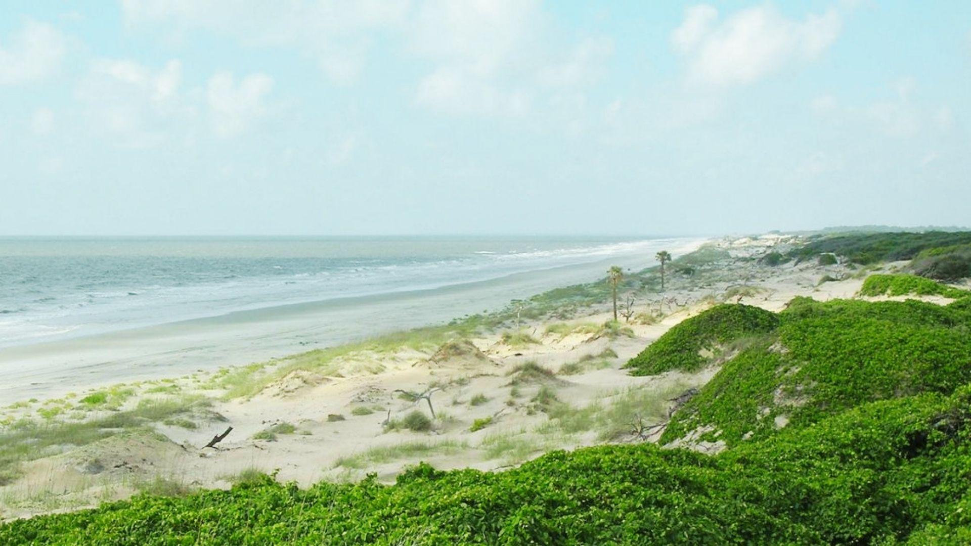 image of remote spot Cumberland Island.