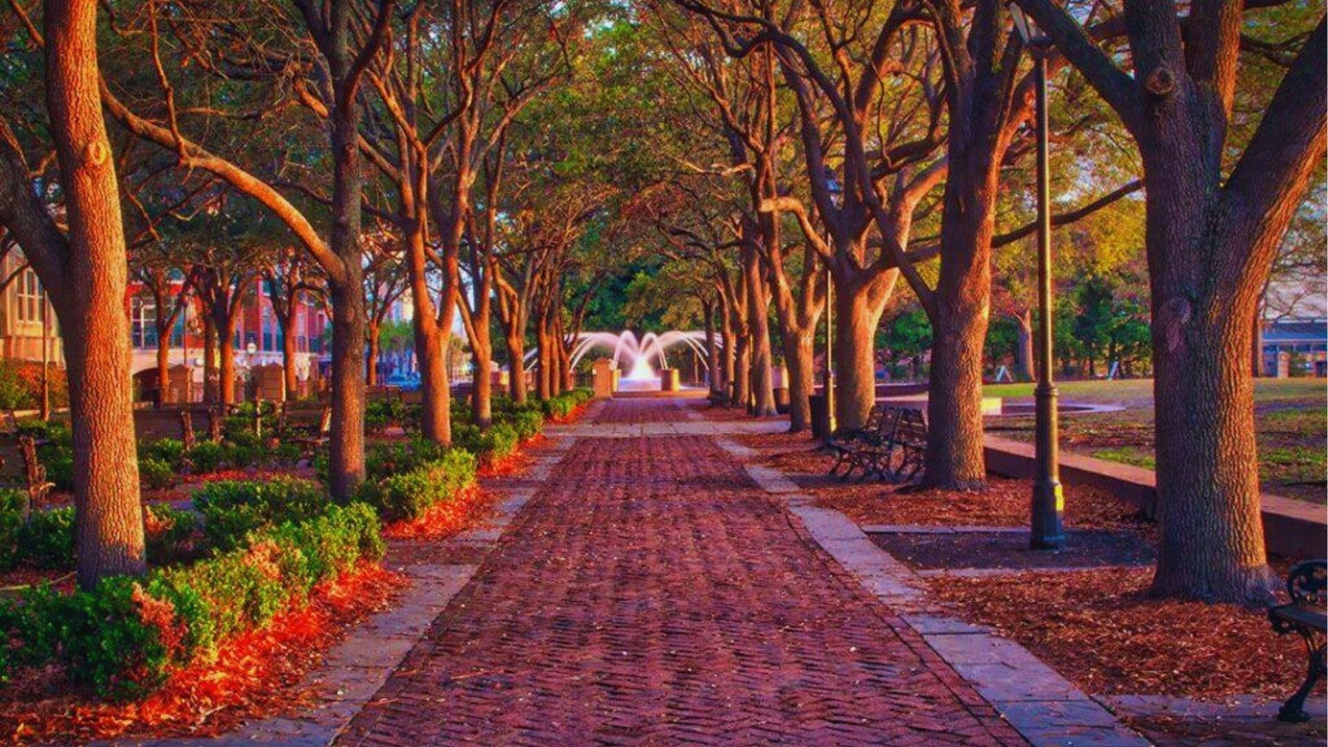 Brick pathway lined with oak trees leading to illuminated fountain in Charleston waterfront park sunset.