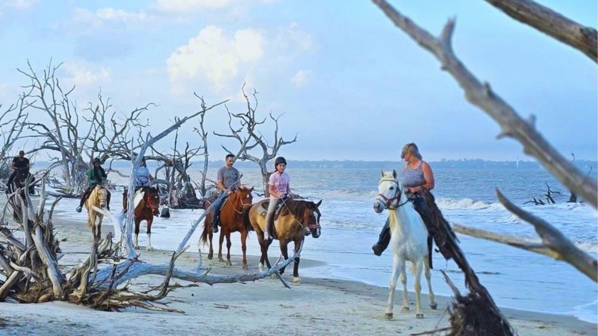 Group horseback riding along driftwood-strewn beach shoreline with ocean waves and bare dead trees behind.