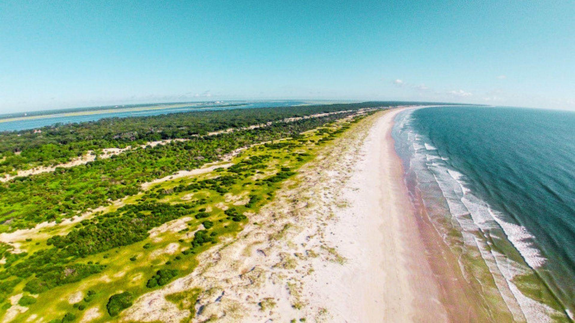 image of Cumberland Island.
